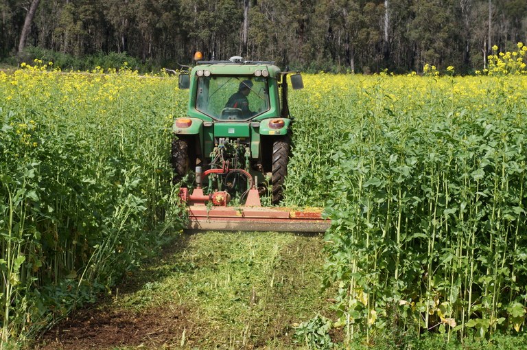 Cover Cropping Workshop, getting cover crops working on your farm