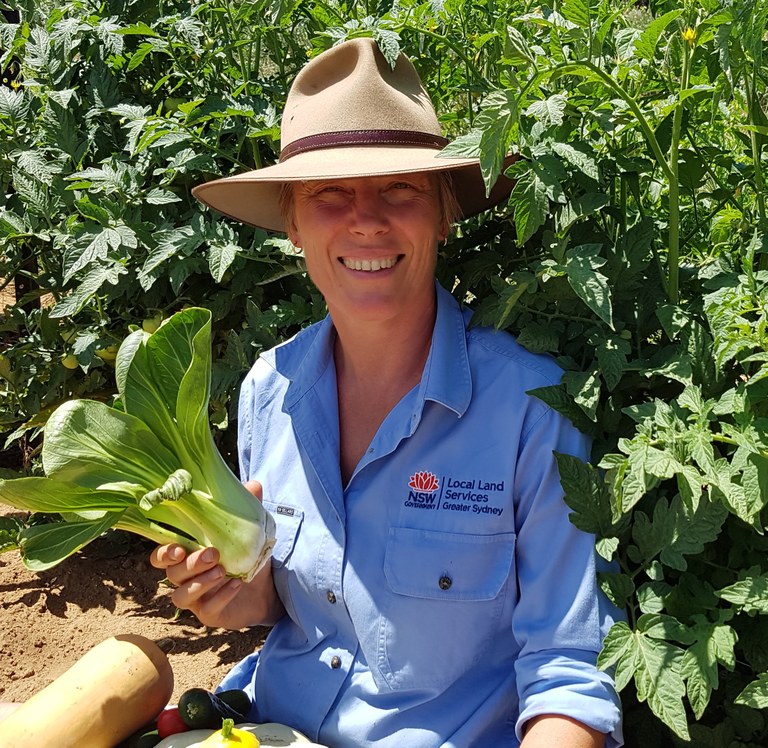 Operating a small-scale organic market garden