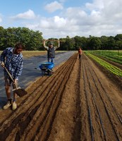 Organic Market Garden Mentoring Project