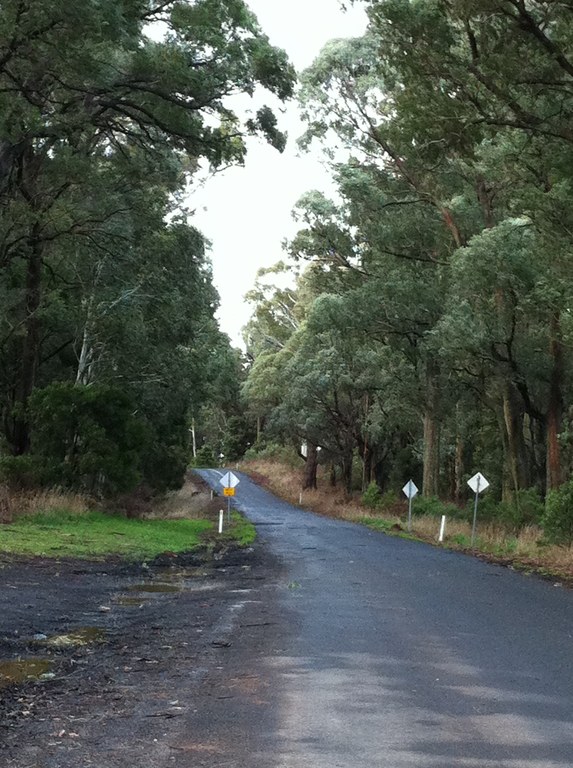 Road safety vs the bush