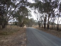 Video promotes roadside vegetation management