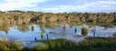 porters-creek-wyong.jpg