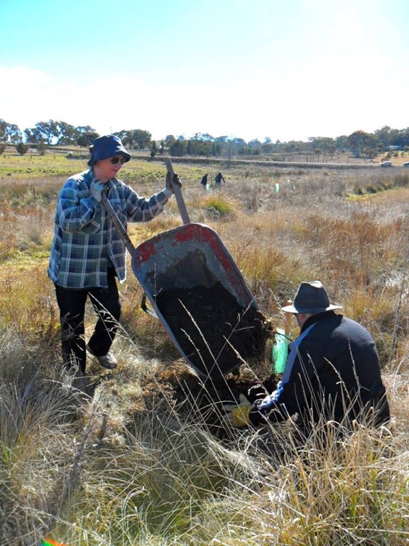 Queanbeyan.jpg