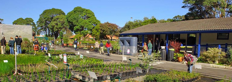 Randwick-Community-Nursery.jpg