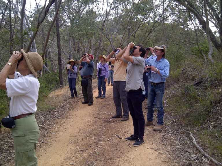 Woodland Bird Walk 