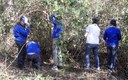 Landcare in Your School