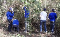 Landcare in Your School