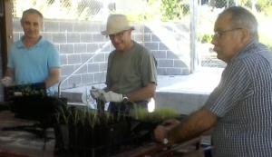 Volunteers Potting on Seedlings