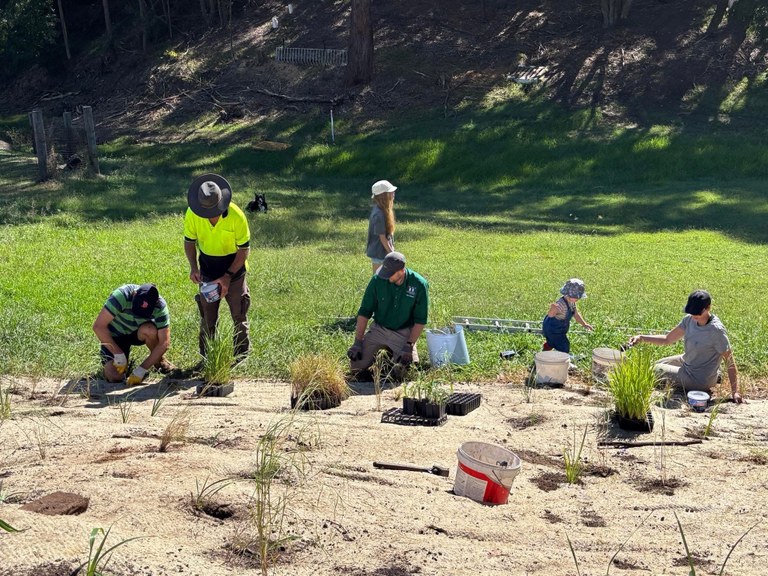 Maitland Landcare Incorporated - Rutherford Site
