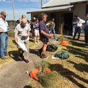 African Olive / Lantana Project