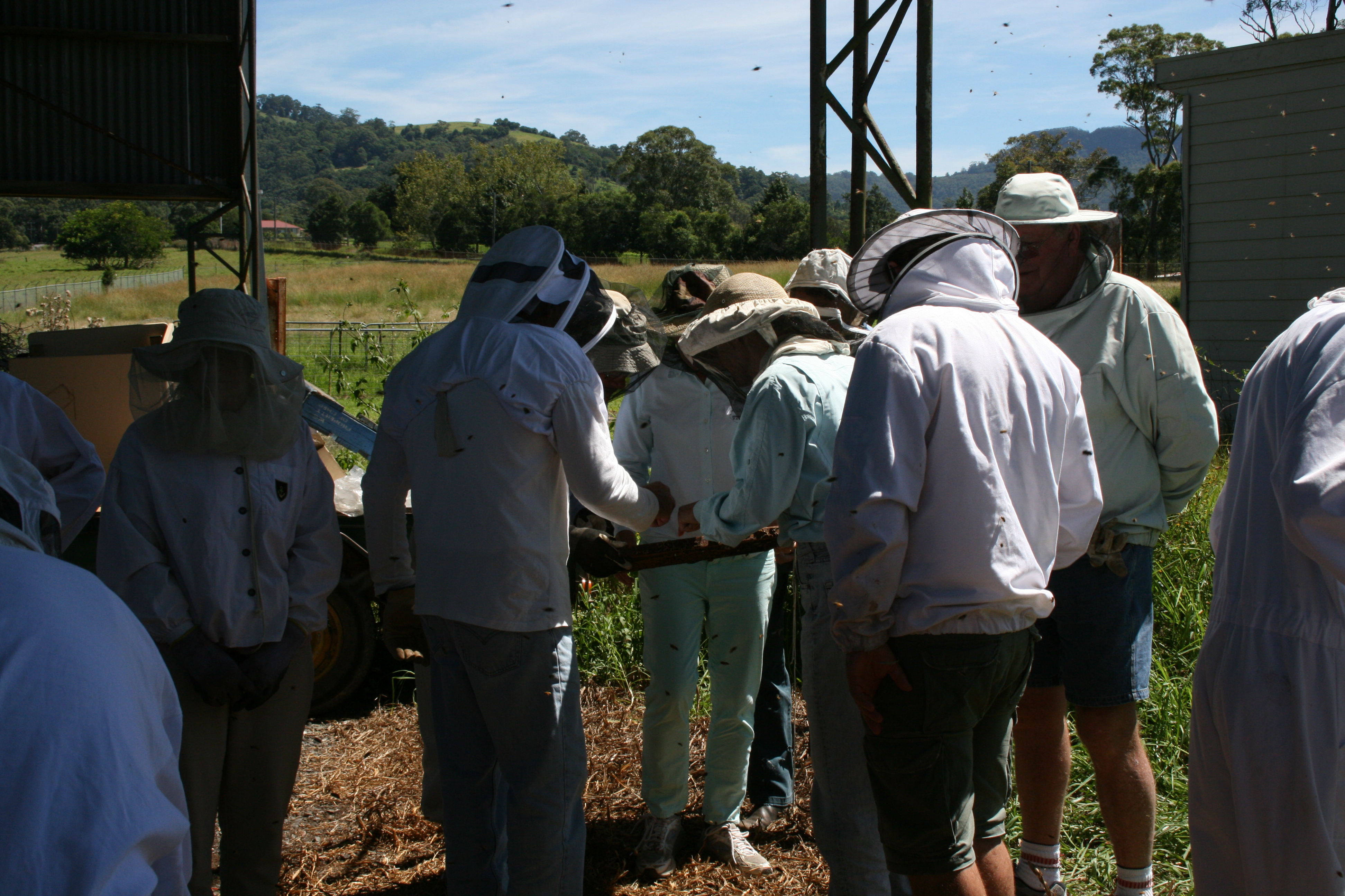 Bee keeping workshop 