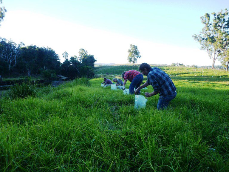 South East Landcare.jpg