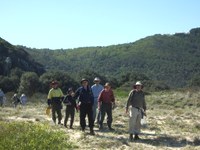 Enhancing resilience of 12 km of coastal EEC's from Smoky Cape to South West Rocks