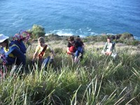 Regeneration of the coastal strip from Smoky Cape to South West Rocks