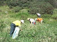 Restoration of fire-affected threatened ecological communities and species around Hat Head National Park