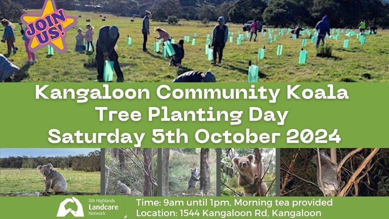 5th October Koala Tree Planting in Kangaloon