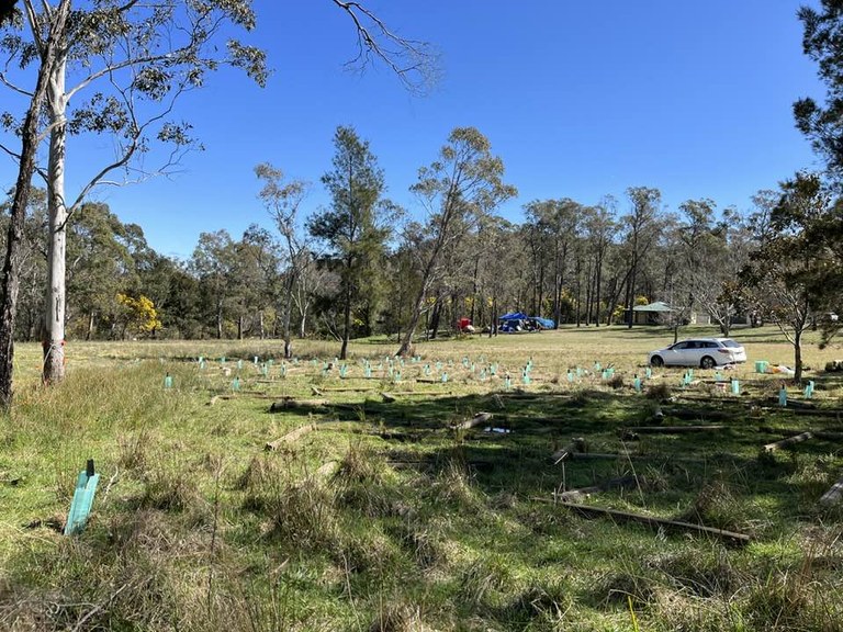9th September Berrima Scout Park Planting Completed 9th September Berrima Scout Park Planting Completed