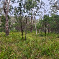 Additional Landcare Day for Sutton St Reserve Berrima