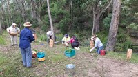 Canyonleigh revegetation planting