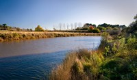 Carribee Farm Riparian Zone Planting Days