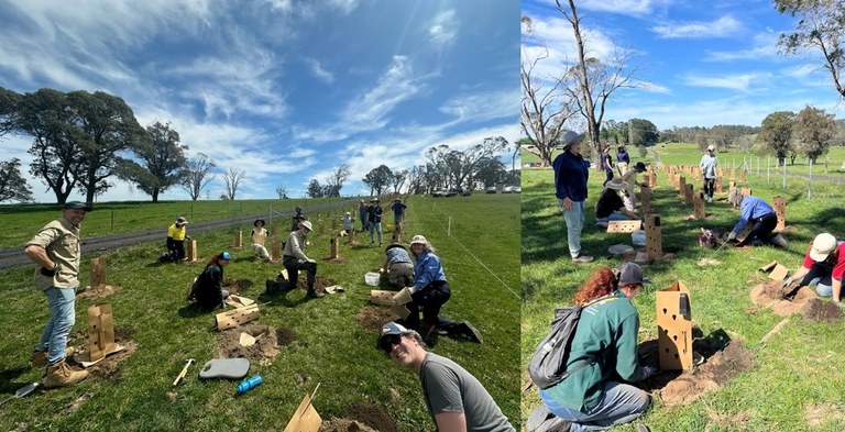 Glossies in the Mist Moss Vale Planting Day
