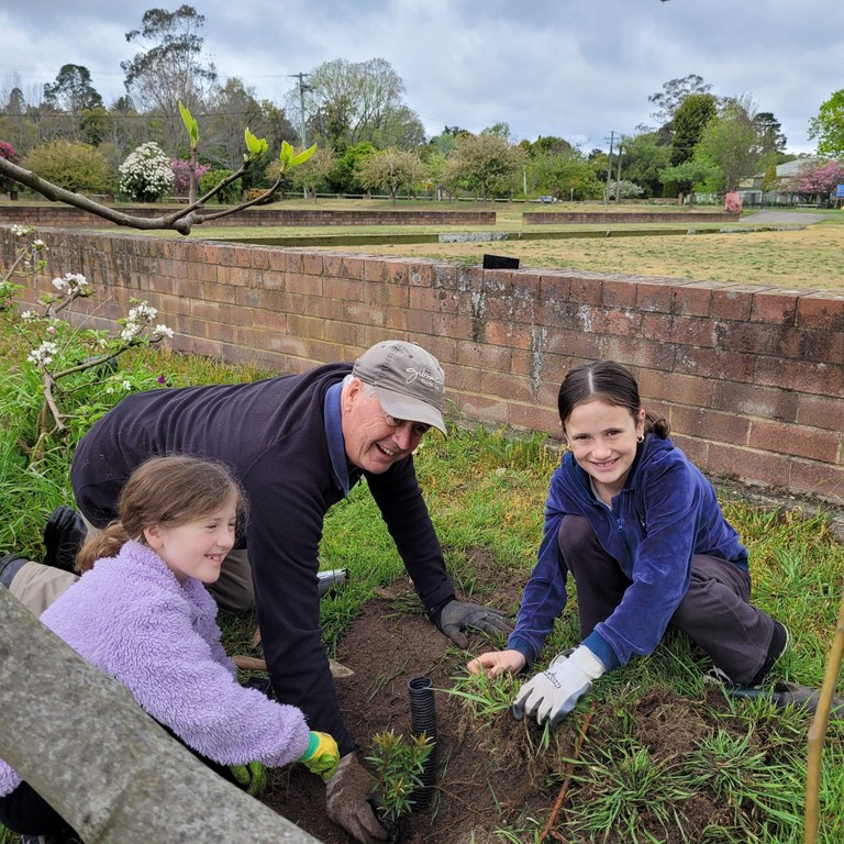 Joint Planting at Moss Vale Community Gardens Joint Planting at Moss Vale Community Gardens