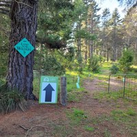 Launch of Landcare's Helping Hands