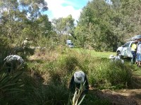 Moss Vale Landcare