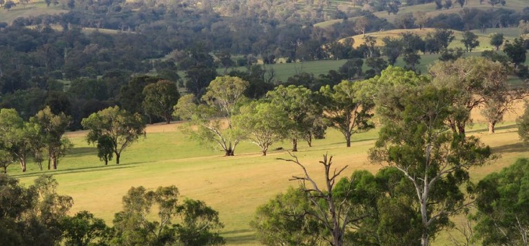 Natural Capital and Dung Beetles event