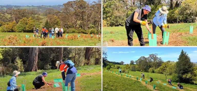 Nature Positive in Action at Kangaloon!