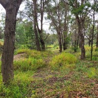 Berrima Wildlife Reserve