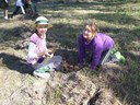 Year 5 girls happily planting trees
