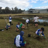 Plantings in 2015