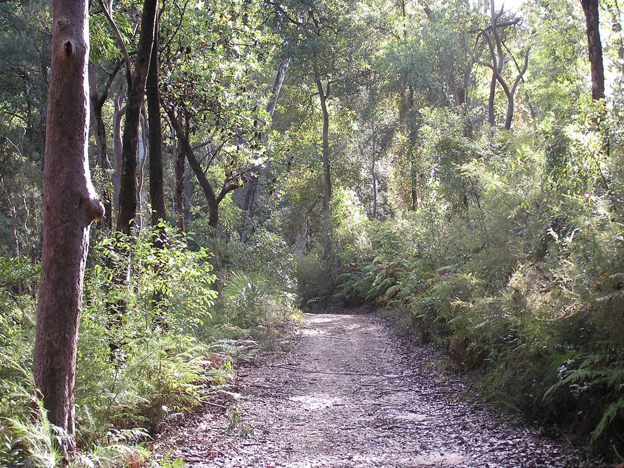 Bushland Tracks and Trails — NSW Landcare Gateway