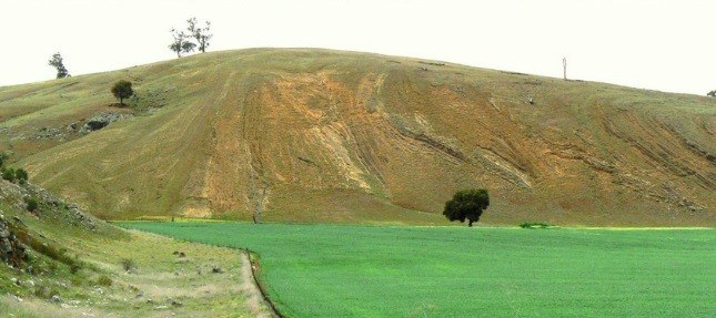 Talk: Dammed if you Do and Dammed if you Don’t: Saving Cliefden Caves and Fossil Hill from Submergence