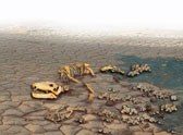 Talk: Permian Triassic Mass Extinction