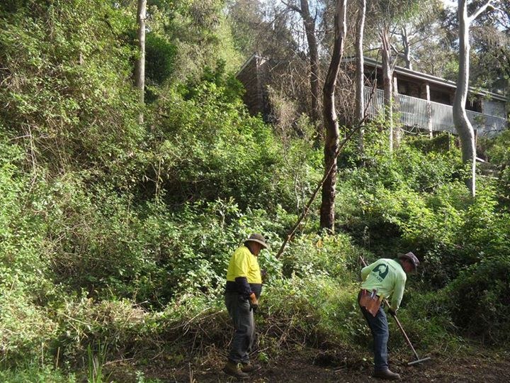 Stobbart Creek Landcare Site