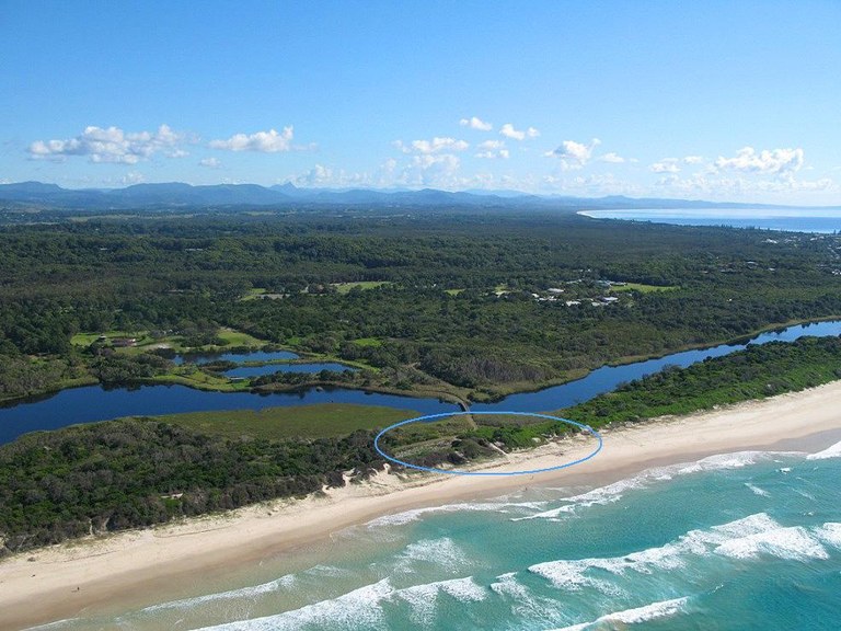 Creekside dunecare site at northern end of Crown Reserve.jpg