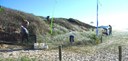 May 2012  Dune Swale Planting.JPG