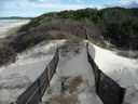 Rebuilding an eroded dune crown  with sand trapping 2011.JPG