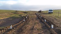 Arthursleigh Yearly Tree Planting