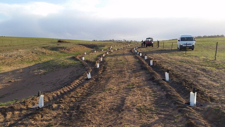 The 2018 Arthursleigh Tree Planting Weekend - 15-16th September, 2018