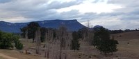 USYD Landcare volunteers go to the stunning Capertee Valley, NSW 1-3 June 2018