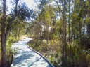 Tilligerry Habitat boardwalk