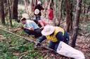 Tim Brownscombe Bushcare.png