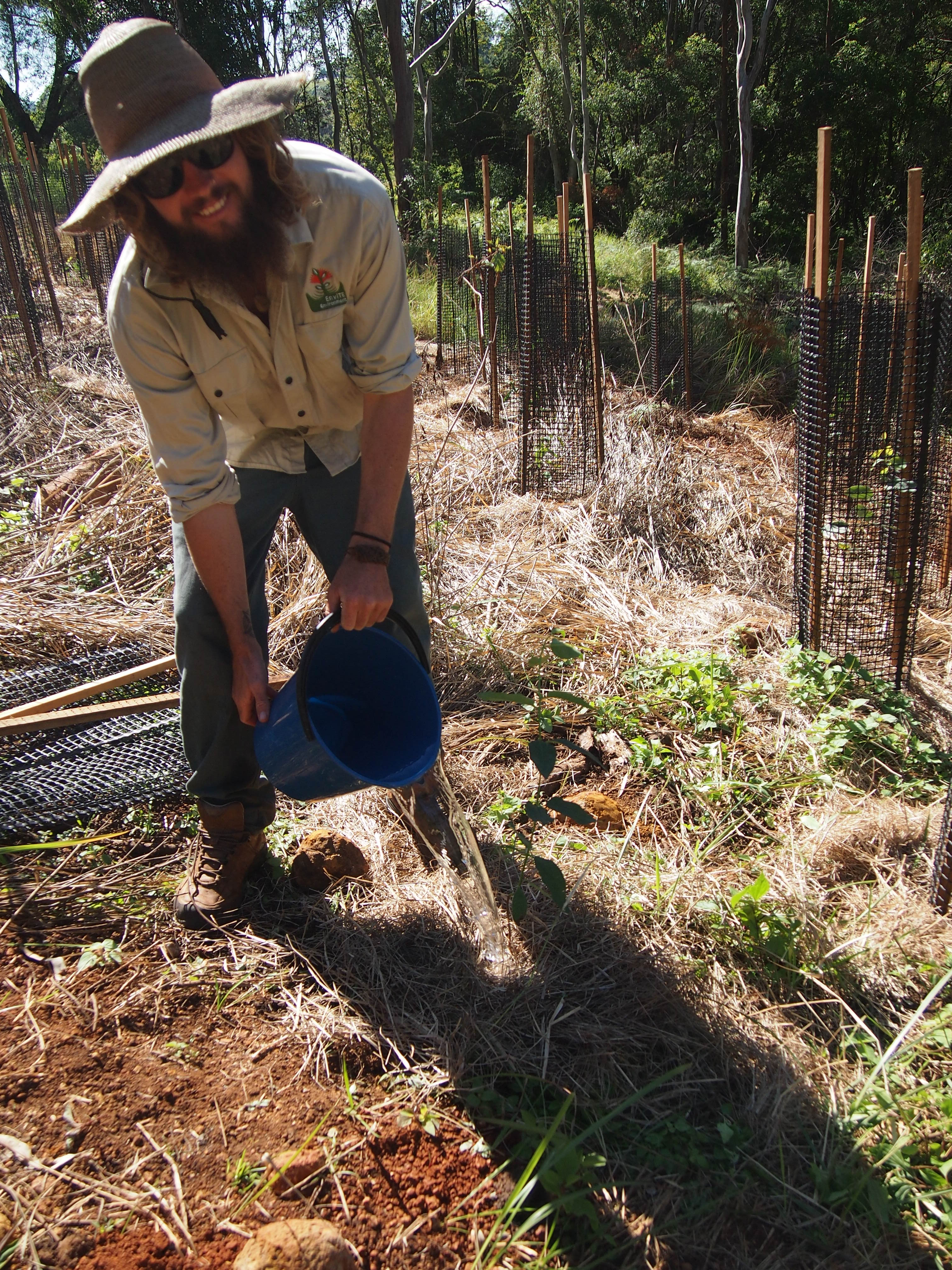 Tregeagle Koala Field Day (32).JPG