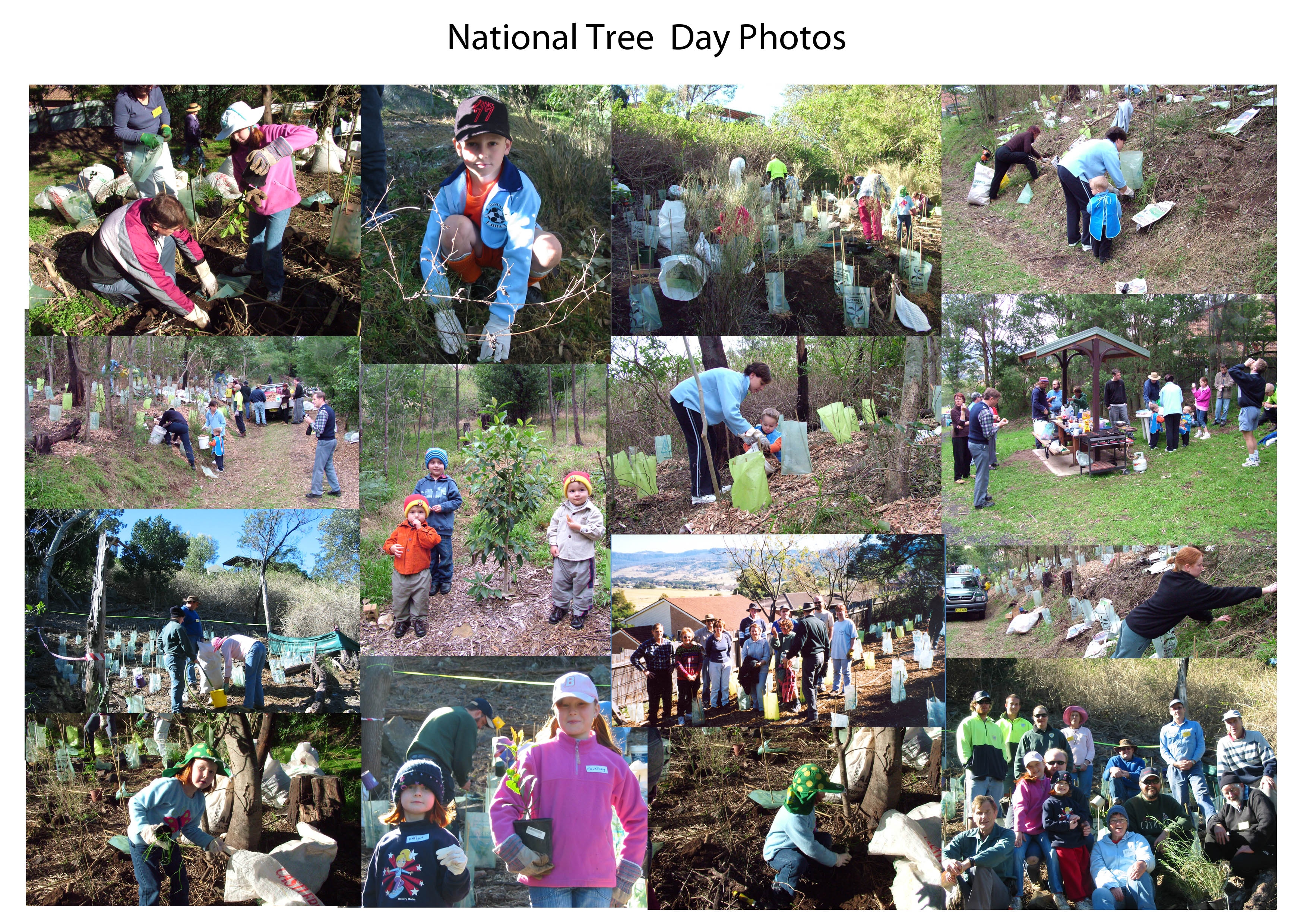 National Tree Day Photos Elizabeth Brownlee Reserve Albion Park
