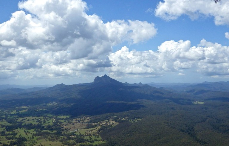 Tweed Landcare.jpg