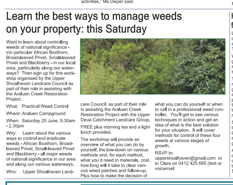 20220622 Regional Independent - manage weeds.png