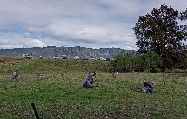 tree planting.JPG